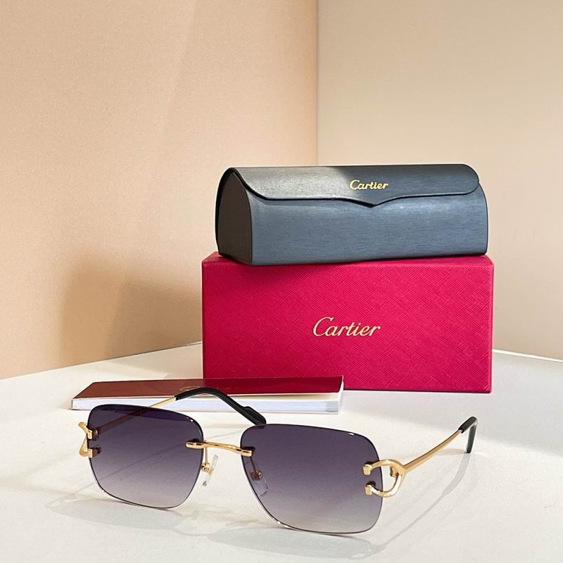 Cartier Glasses smr43
